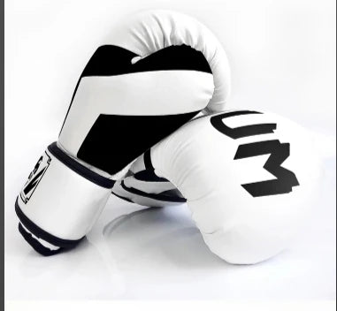 Gants de Boxe – Muay Thaï, Kickboxing & Entraînement | Family Muay Thai