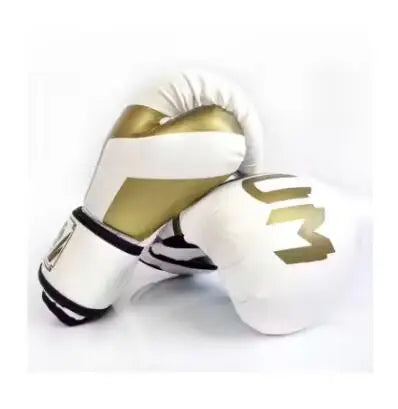 Gants de Boxe – Muay Thaï, Kickboxing & Entraînement | Family Muay Thai